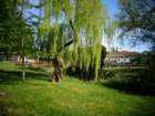 dsc00963_small.jpg