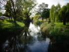 dsc00967_small.jpg