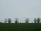 dsc00057bad_small.jpg