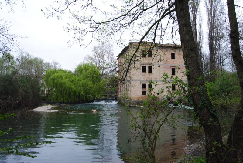 dsc00061a.jpg