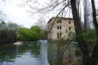 dsc00061a_small.jpg