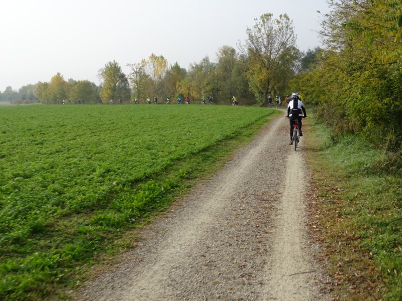 dsc02447.jpg