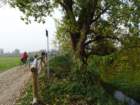 dsc02450_small.jpg