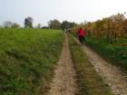 dsc02467_small.jpg