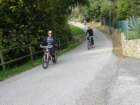 dsc02533_small.jpg