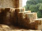 dsc02550_small.jpg