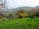 dsc02607_small.jpg