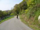 dsc02662_small.jpg