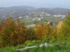 dsc02695_small.jpg