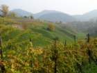 dsc02704_small.jpg