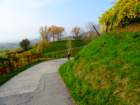 dsc02723_small.jpg