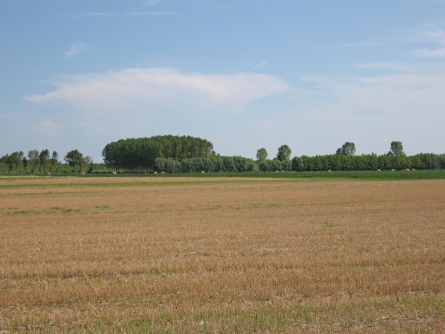 img_3880.jpg