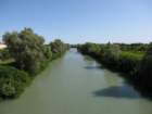 img_5575_small.jpg