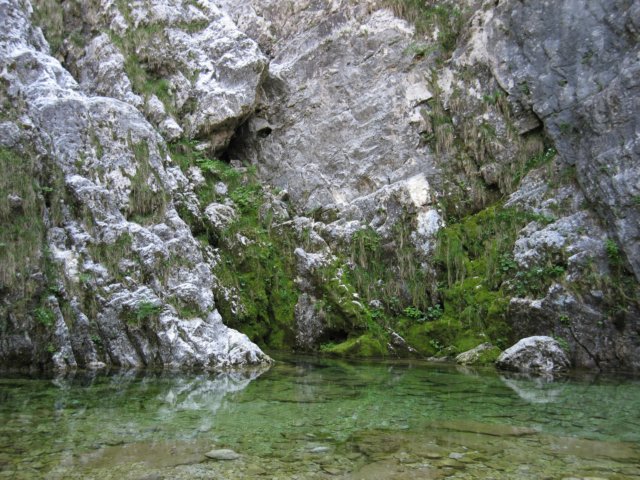 img_8085.jpg