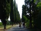 dsc079622_small.jpg