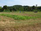 dsc07971_small.jpg