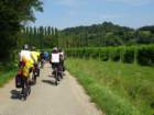 dsc07981_small.jpg