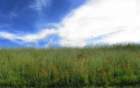 img_5610001_small.jpg