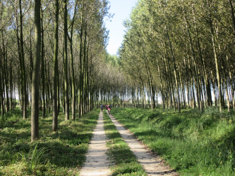 photo5.jpg