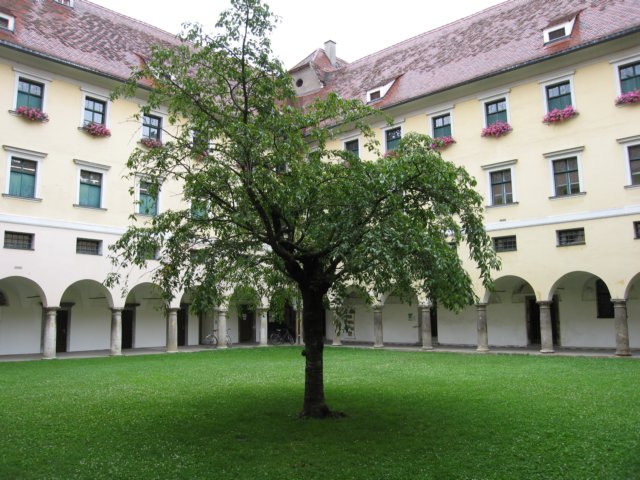 dsc_0458q.jpg