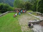 dsc04666_small.jpg