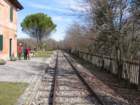 excaselloneipressidivalvasone_small.jpg