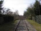 trattodiferroviainvasodallavegetazionevalvasone_small.jpg