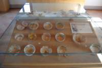dsc_0217_small.jpg