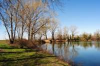 dsc_0241_small.jpg