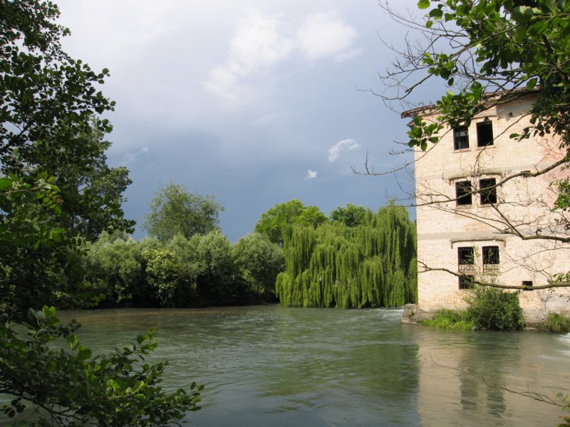 photo35.jpg