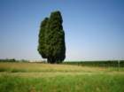 dsc08961_small.jpg