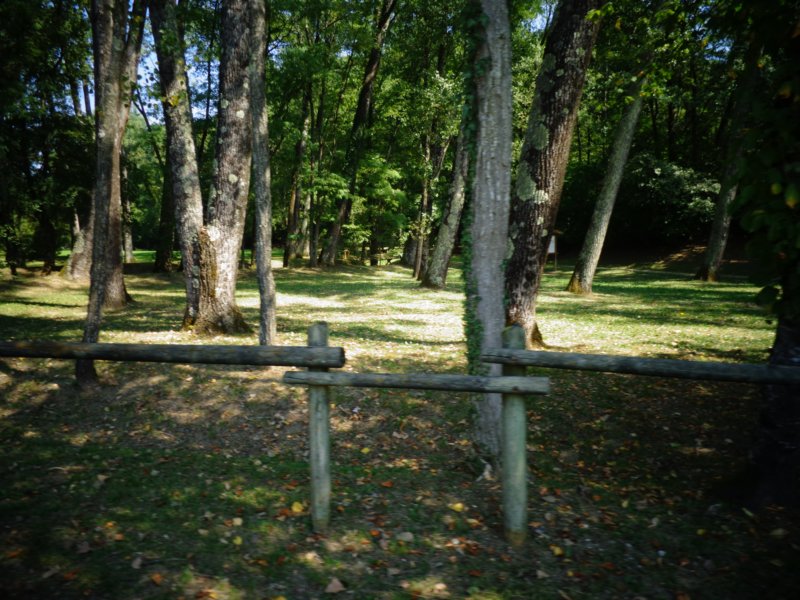 dsc08983.jpg