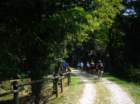 dsc08984_small.jpg