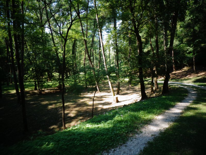 dsc09000.jpg