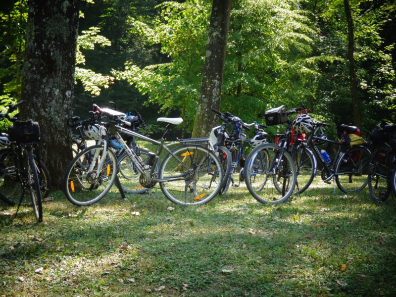 dsc09006.jpg
