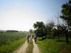dsc09010_small.jpg