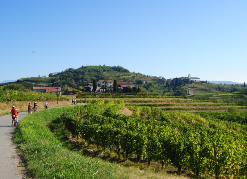 photo2.jpg