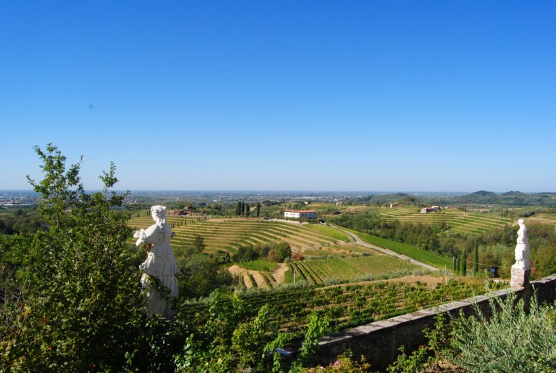 photo27.jpg