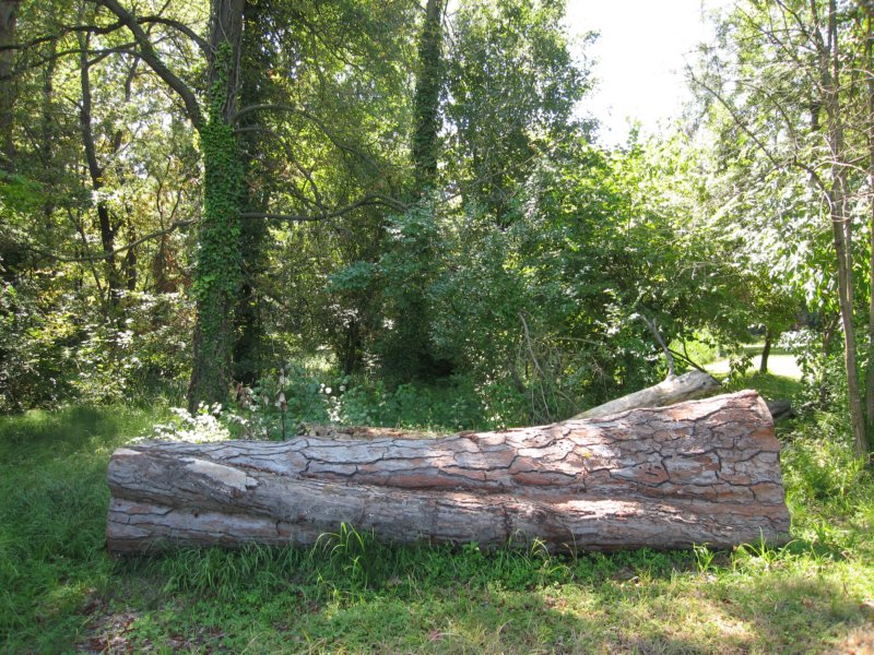 photo13.jpg