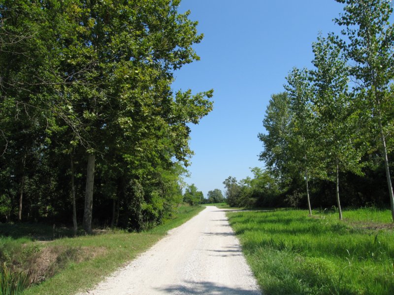 photo22.jpg