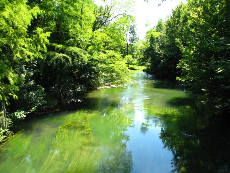 photo25.jpg