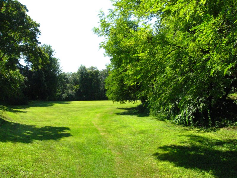 photo9.jpg