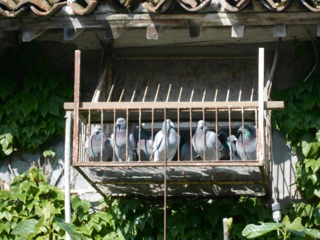 dscn1871.jpg