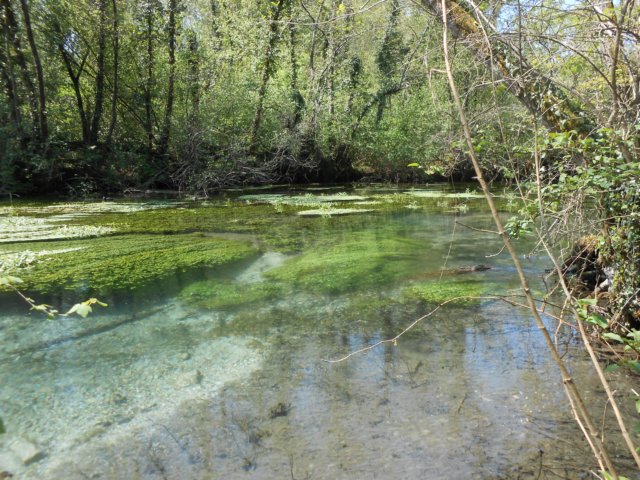 dscn1891.jpg