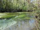 dscn1891_small.jpg