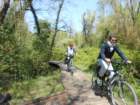 dscn1893_small.jpg