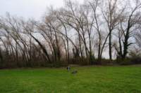 dsc_0399_small.jpg