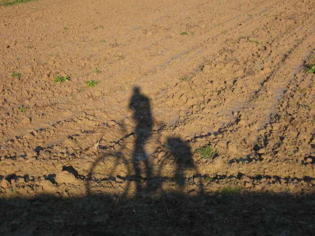img_4441.jpg