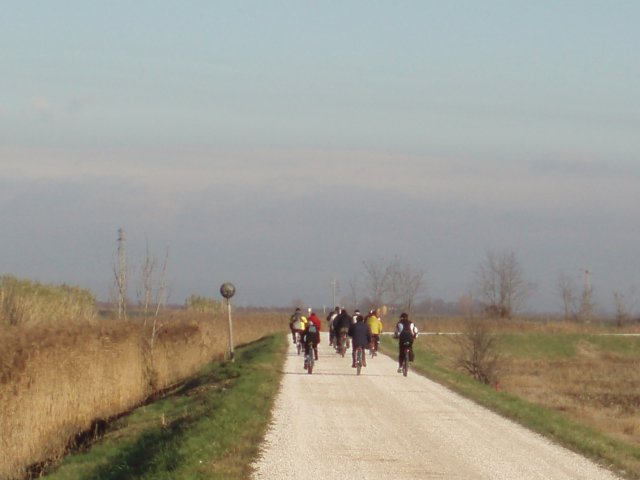 pc220009.jpg