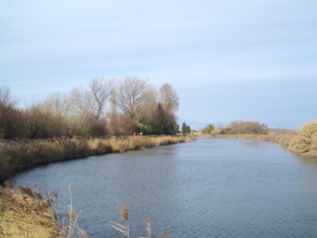 photo24.jpg